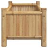 Planter 19.7"x11.8"x9.8" Bamboo