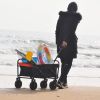 Folding Wagon Garden Shopping Beach Cart